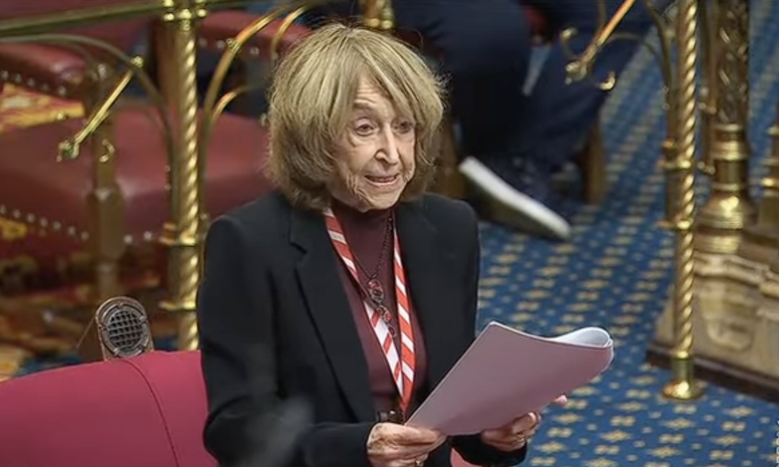 The House of Lords during the contested Chagos vote
