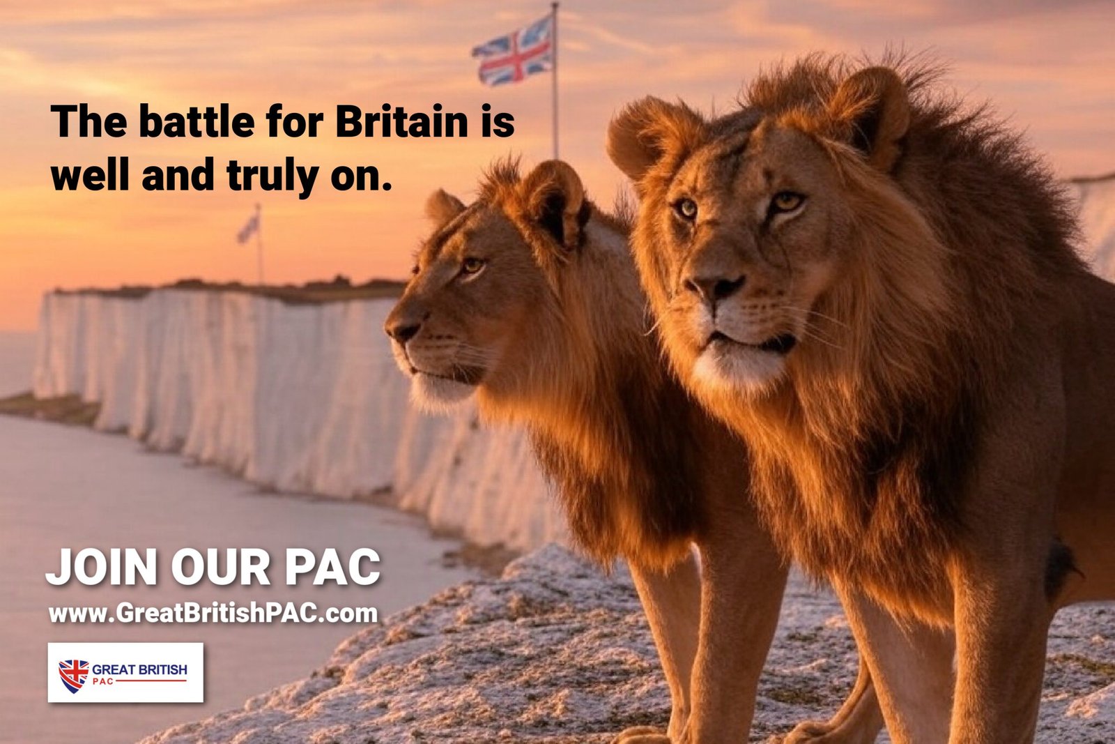 How Great British PAC's Migration Research Reshaped Government Policy