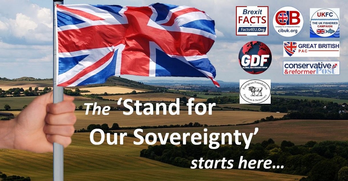 Seven Patriotic Groups Unite to Stand for Our Sovereignty