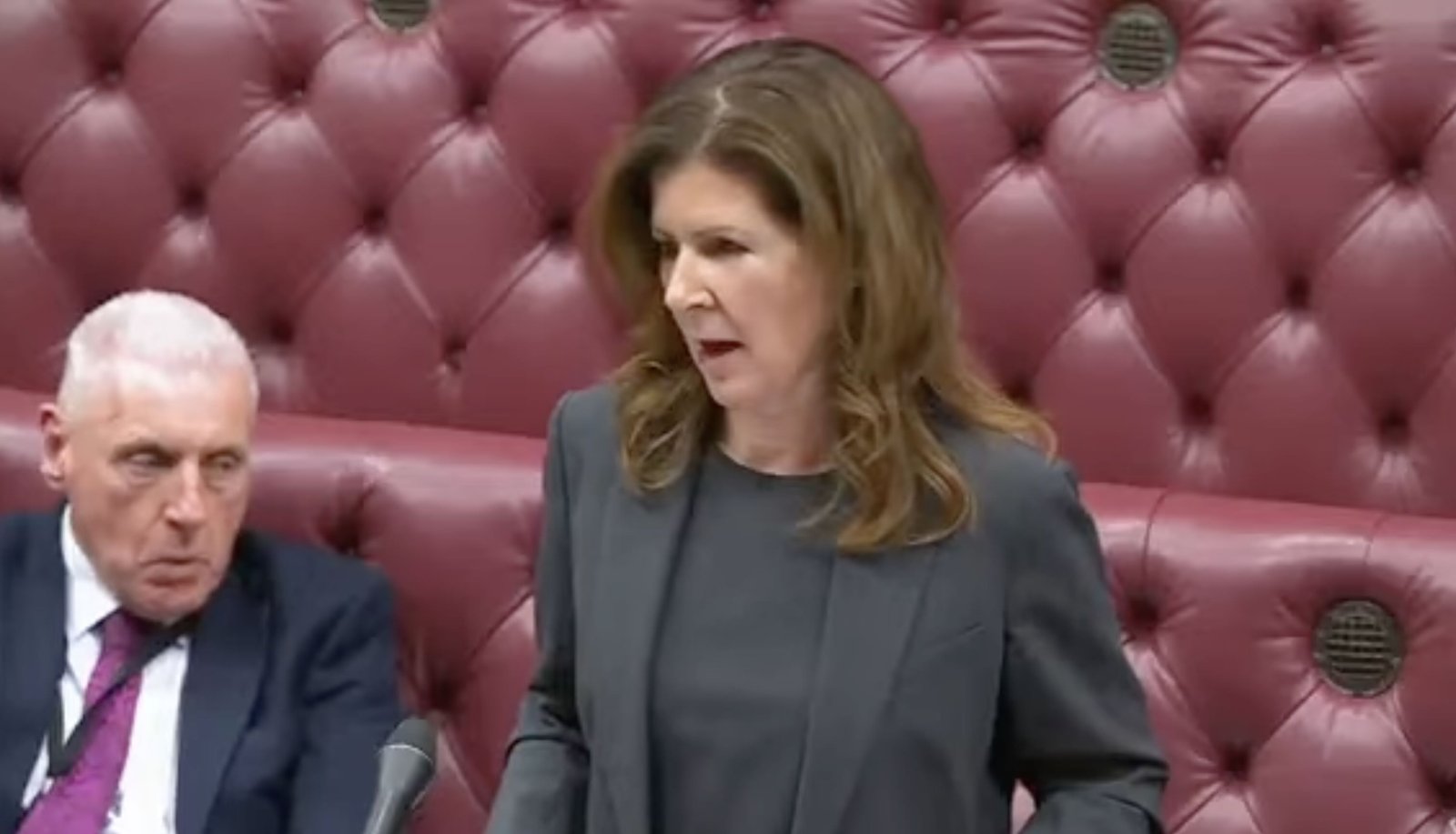 Labour peer Baroness Chapman speaking in the House of Lords